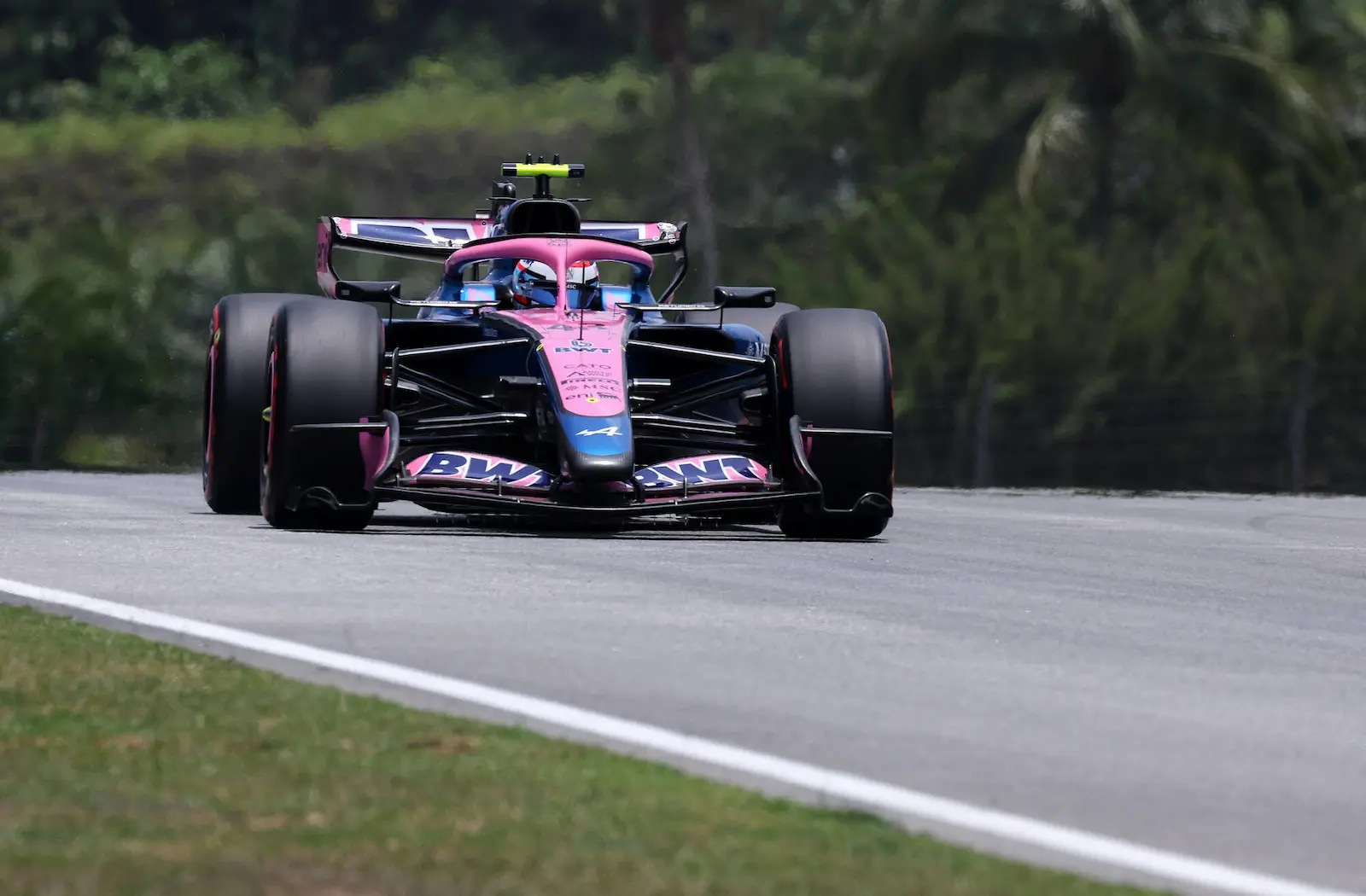 Gasly et Colapinto sur deux programmes différents à Sepang ce vendredi